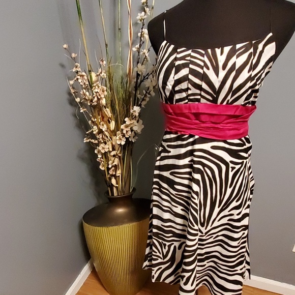 Ann Taylor Dresses & Skirts - Ann Taylor Zebra Print w/ hot pink sash NWT
